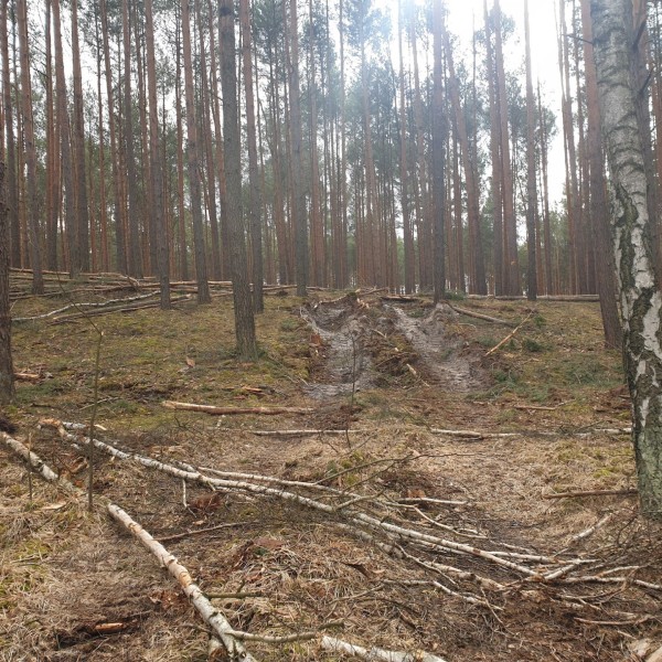 lasforwarder9f0e0e5695434797.jpg